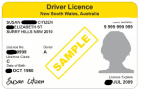 Sample NSW Drivers License