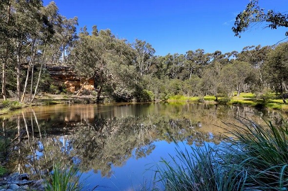 Home - Glenview Megalong Valley